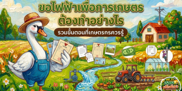 อยากต่อไฟเข้าสวน ต้องเริ่มตรงไหน? คู่มือขอ “ไฟฟ้าเกษตร” ฉบับเข้าใจง่าย!